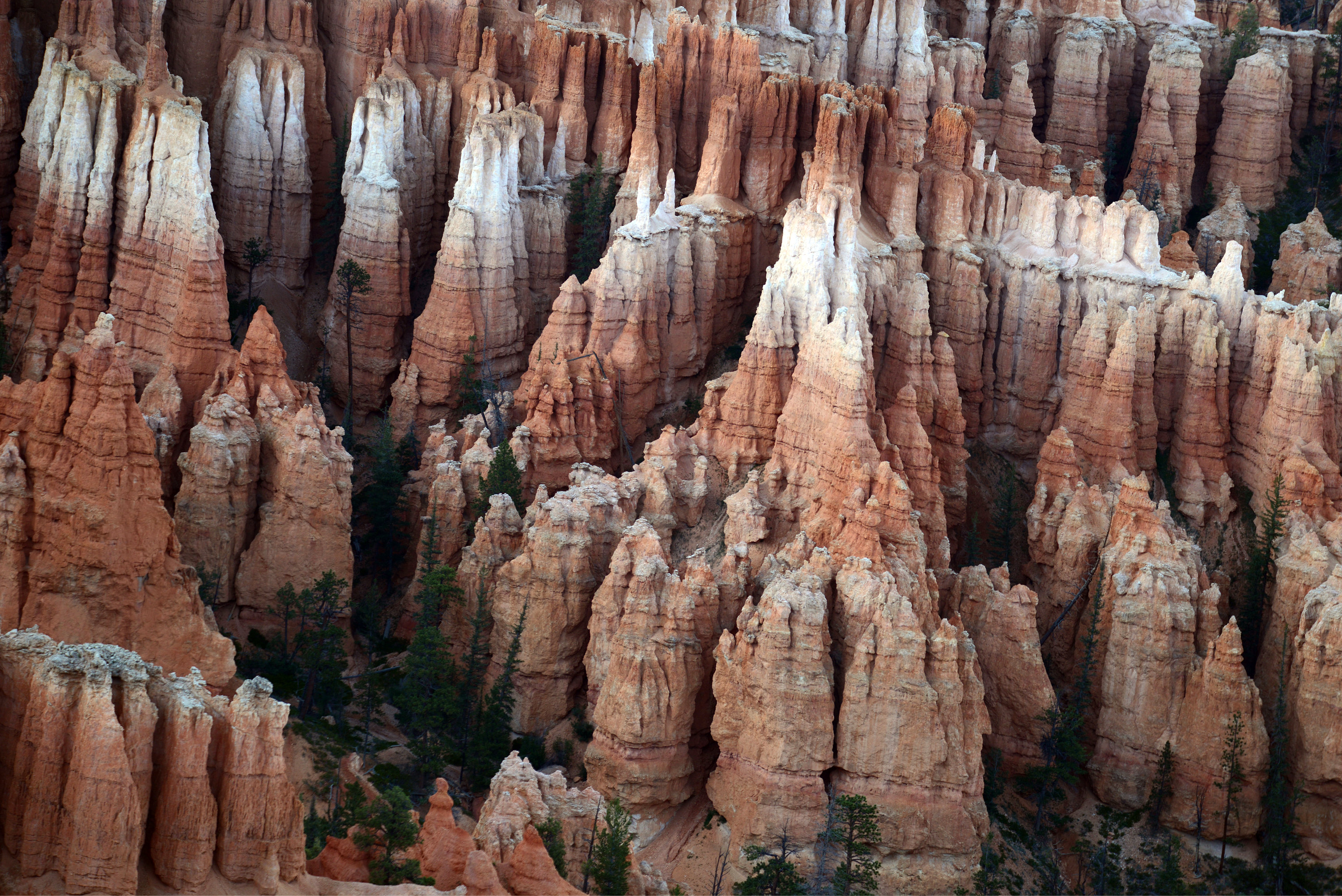 Bryce Canyon, Utah 127